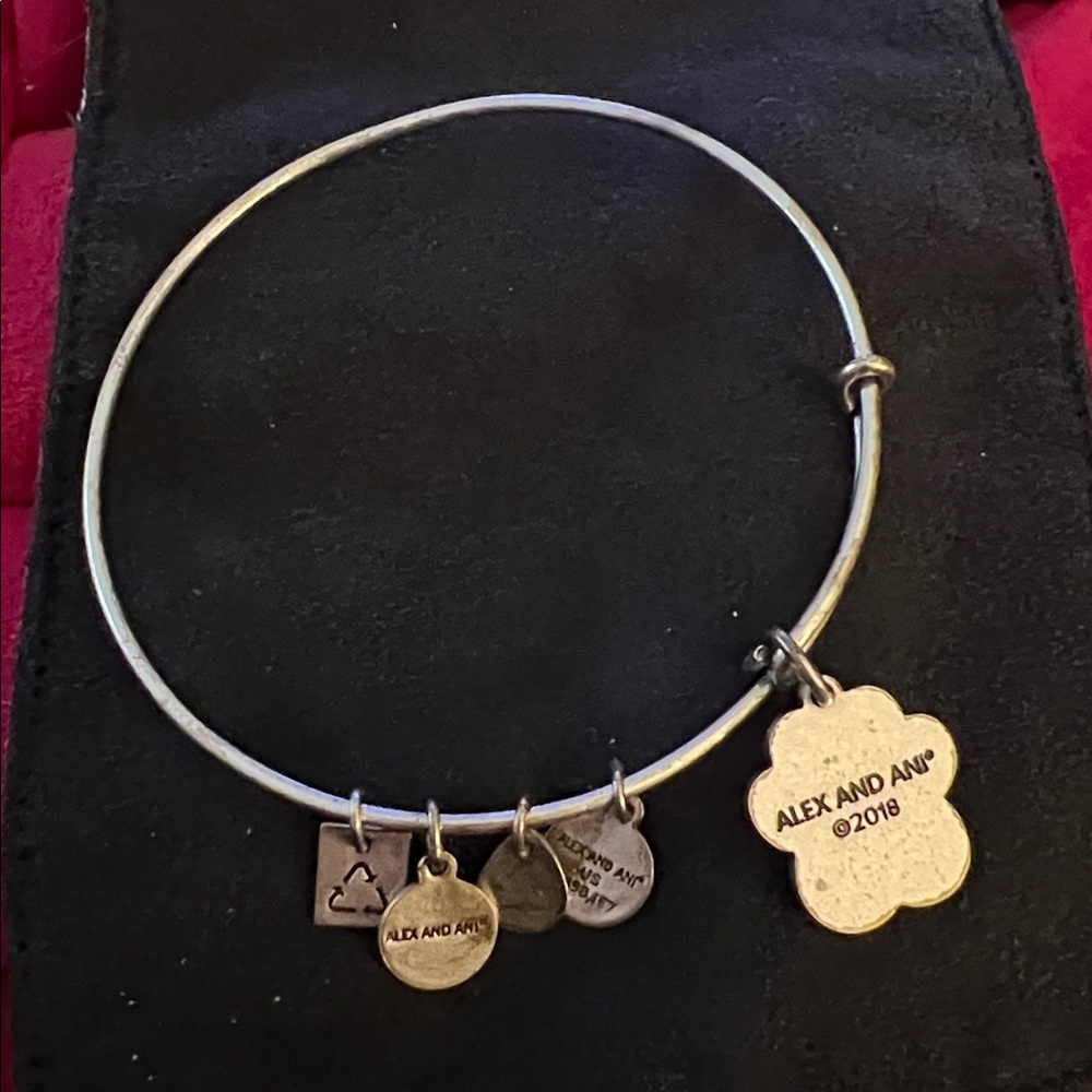Alex and Ani Paw Prints of Love Bracelet - Picture 4 of 7